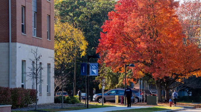 Student walking on sidewalk, red & orange tree in background