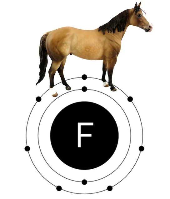Ein Pferd auf einem Fluor-Atom