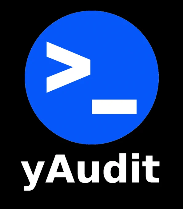 yAudit