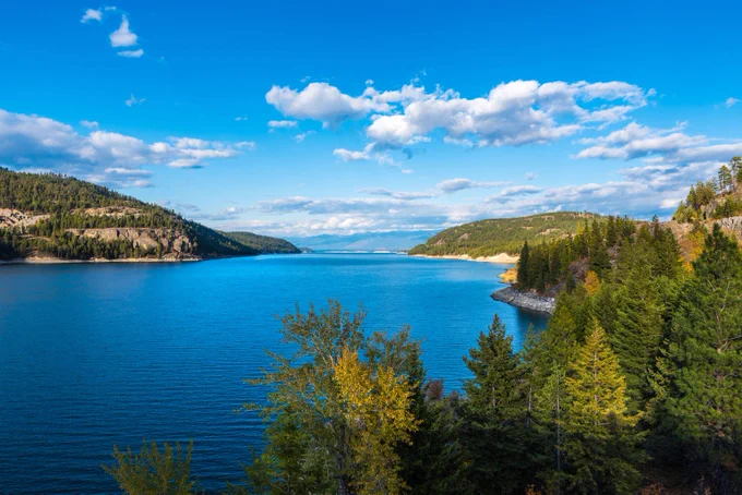 Lake Koocanusa in northwestern Montana with broadleaf trees and conifers on its shores in autumn. Lake Koocanusa is home to thousands of bull trout whose population is supported by feeding on nonnative kokanee. 
