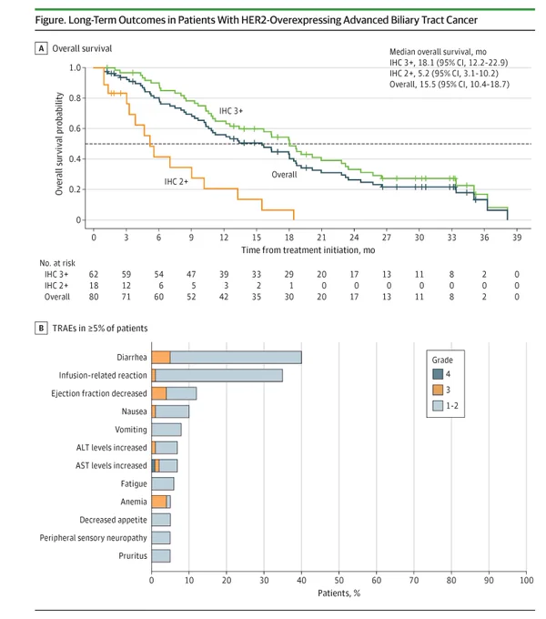 Figure shows long-term outcomes for HER2  advanced biliary tract cancer patients. Graph A shows overall survival probability over time for IHC 3 , IHC 2 , and overall patients. Graph B shows treatment-related adverse events (TRAEs) in ≥5% of patients. Diarrhea is the most common.