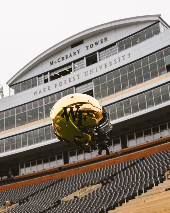 Helmet Picture