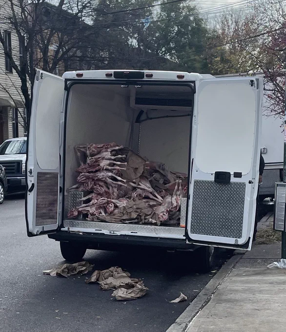 A white van parked at the curb of a city street. The van’s open back doors show a cargo space full of skinned animal carcasses, perhaps goats or sheep