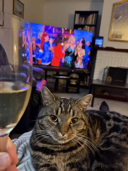 Champagne glass, cat and Strictly on the television.