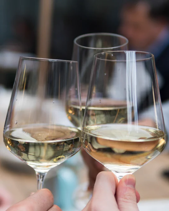 Three people toasting with glasses of white wine at a social gathering.