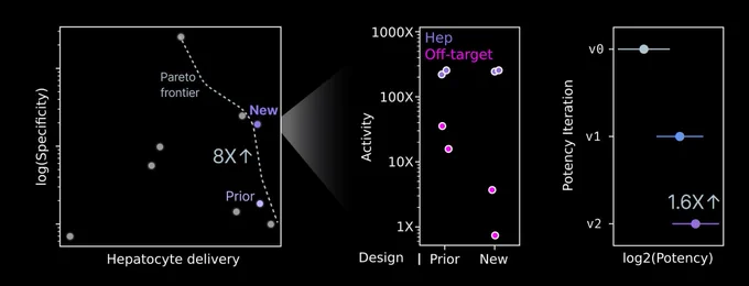 (Left) We mapped the Pareto frontier of hepatocyte potency and specificity for a range of mRNA designs. We achieved an 8X improvement in specificity without losing potency. (Center) After optimization, our sequenced have >100X specificity for hepatocytes over off-target cells. (Right) We further iterated on our sequences to achieve 1.6X higher potency in hepatocytes.