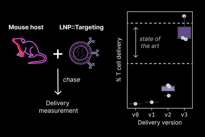 (Left) We performed a series of in vivo delivery experiments as we iterated on our in vivo T cell targeting LNPs. (Right) We’ve now matched performance near the state-of-the-art.