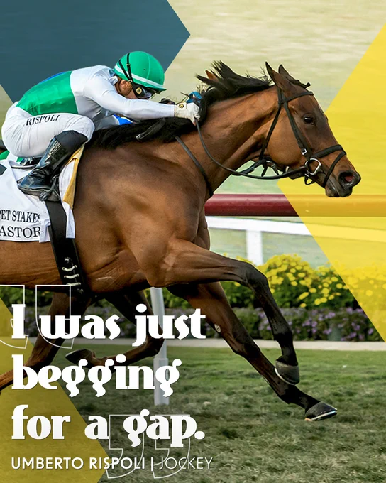 "I was just begging for a gap." Umberto Rispoli - jockey of Mrs. Astor.