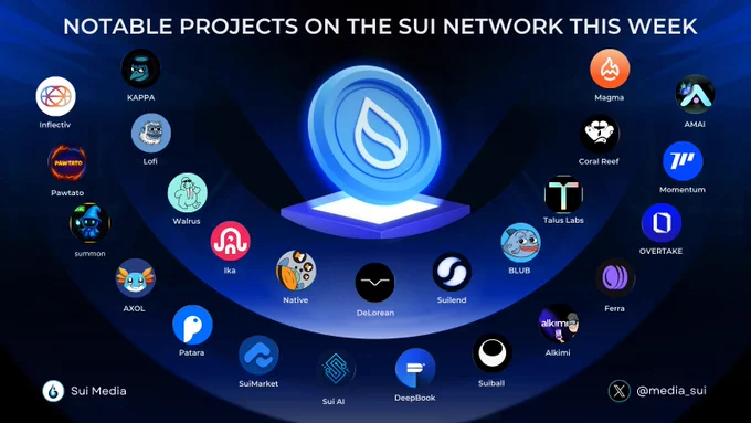 NOTABLE PROJECTS ON THE SUI NETWORK 🔥
