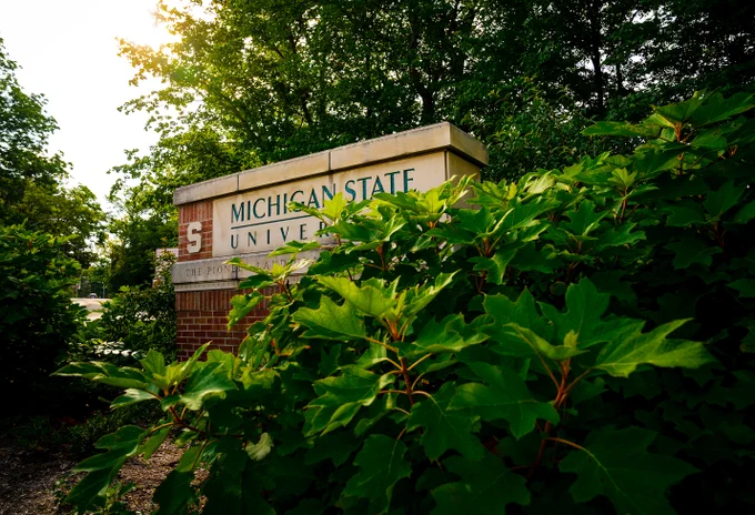 The Michigan State University sign is partially obscured by lush green bushes. The sign reads "Michigan State University, The Pioneer Land Grant College" and features an 'S' logo on a brick pillar.