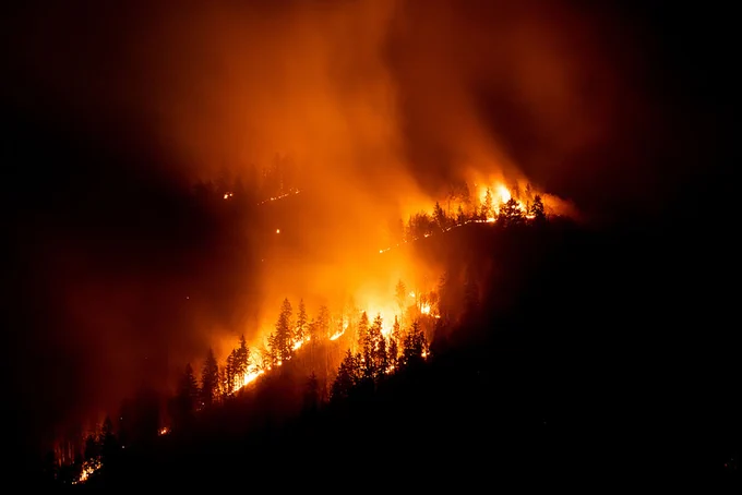  A picture of a wildfire at night, flames blazing