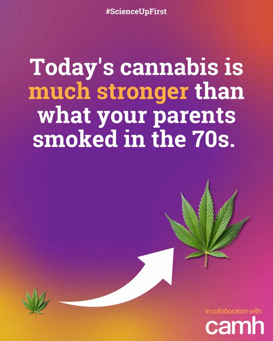 On a colourful background of purple and orange, a cannabis leaf is shown as getting bigger. The text says: “Today's cannabis is much stronger than what your parents
smoked in the 70s.” In the lower corner, it says “In collaboration with CAMH.” #ScienceUpFirst
