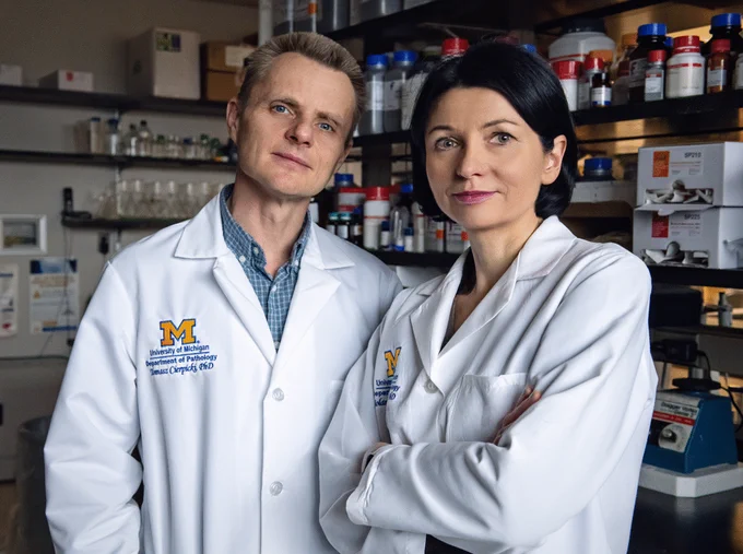 Tomasz Cierpicki, left, and Jolanta Grembecka, both professors of pathology, recently received FDA approval for a drug intended for patients with acute myeloid leukemia and an NPM1 genetic mutation. (Leisa Thompson, Michigan Photography).