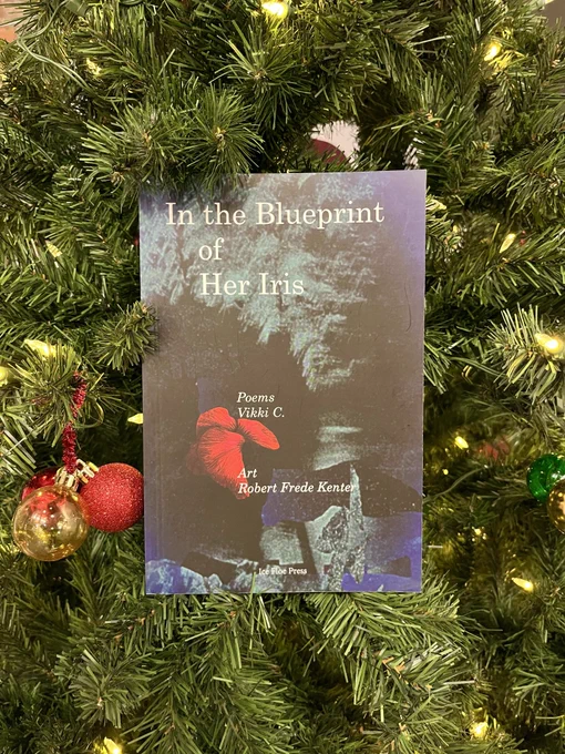The book ‘In the Blueprint of Her Iris’ with poems by Vikki C. and art by Robert Frede Kenner sits amidst pine tree boughs and lights. Two small Christmas tree balls, on red, one gold, hang next to it.