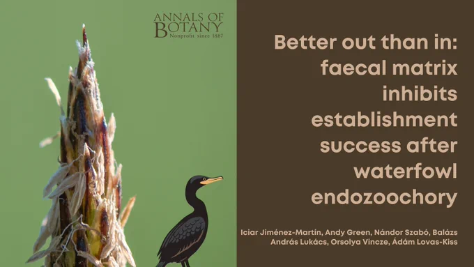 Better out than in: faecal matrix inhibits establishment success after waterfowl endozoochory
