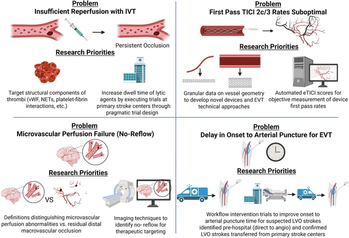 Graphic abstract in Campbell et al.