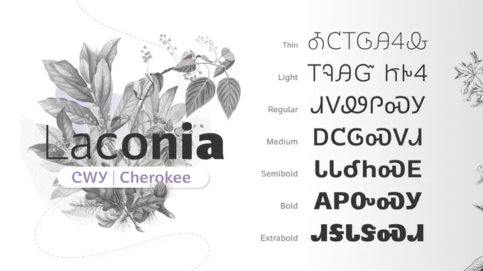 Title specimen image for the Laconia Cherokee typeface family, showing the typeface name in front of an image of a herbal plant, beside a list of Cherokee words in each of the seven font weights.
