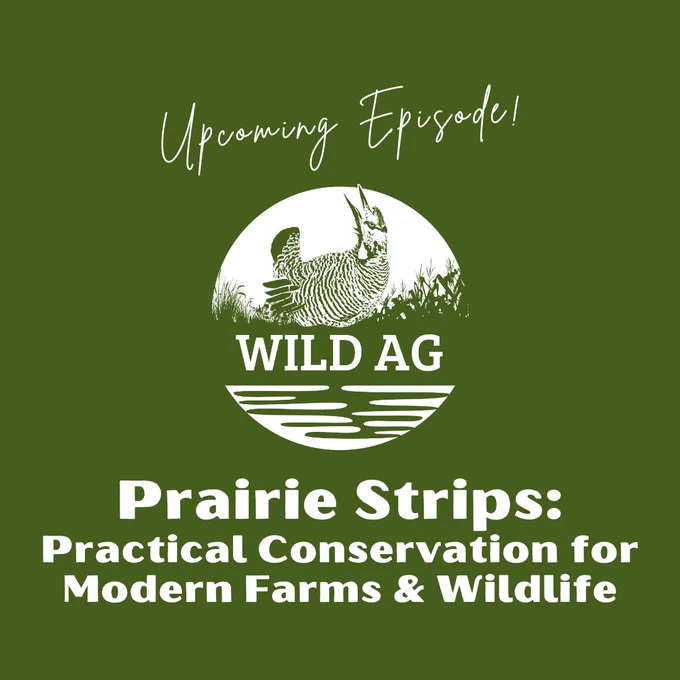 WildAg podcast logo on a green background. Text reads, "Upcoming episode! Prairie strips: practical conservation for modern farms and wildlife."