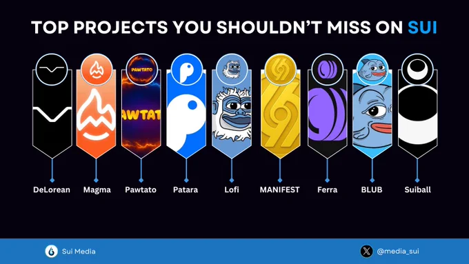 TOP PROJECTS YOU SHOULDN'T MISS ON SUI 🚀
