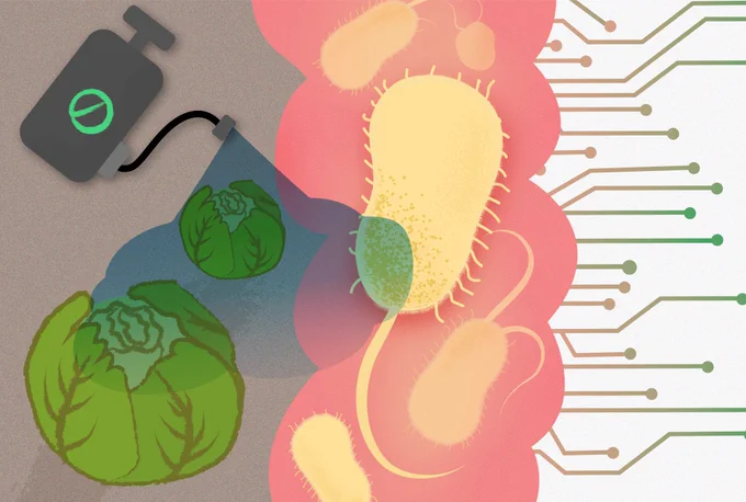 Illustration showing pesticides sprayed on vegetables, reaching gut bacteria, alongside a chip representing machine learning predicting their effects.