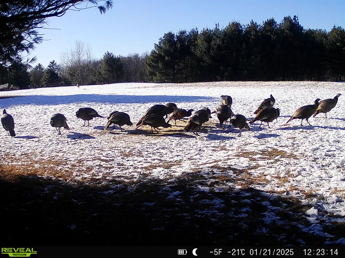 Photos and Map courtesy of Wisconsin DNR.