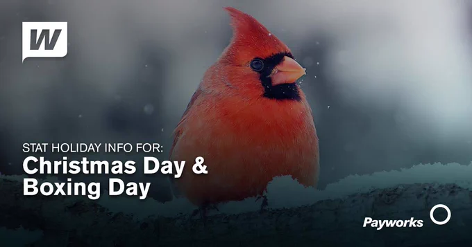 Stat holiday info for: Christmas Day and Boxing Day.