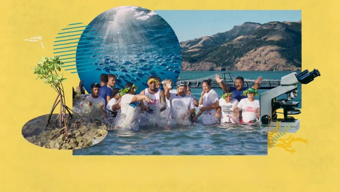 A photo collage shows a mangrove, school of fish, microscope, hillside, and group of people.