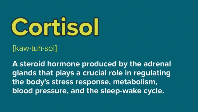 Cortisol definition: A steroid hormone from adrenal glands, crucial for stress response, metabolism, blood pressure, and sleep-wake cycle.