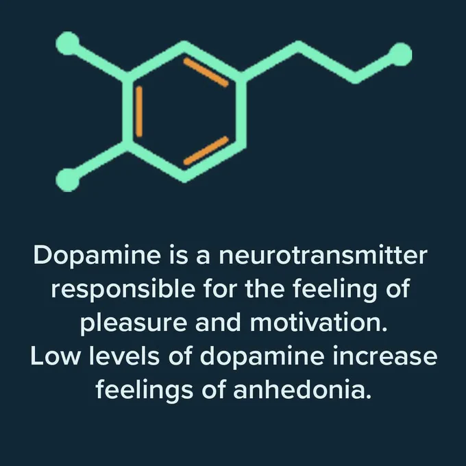 A diagram of the neurotransmitter dopamine with text overlaid that reads: 'Dopamine is a neurotransmitter responsible for the feeling of pleasure and motivation. Low  levels of dopamine increase feelings of anhedonia.