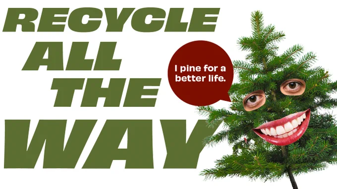 Christmas tree with real eyes and smiling mouth superimposed on it. Text says "Recycle all the way. I pine for a better life"