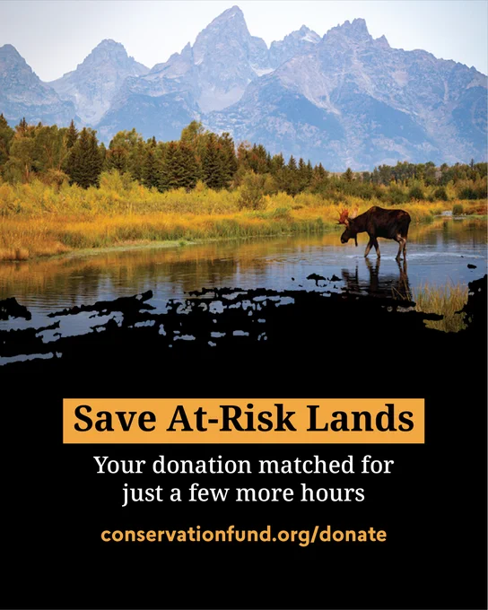 Promotional poster depicting a moose at a water body with the Grand Teton mountains in the background. Text reads: 'Save At-Risk Lands - Your donation matched for just a few more hours - conservationfund.org/donate'.