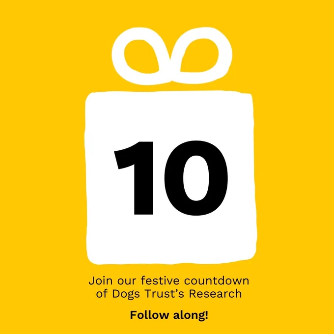 A graphic of a white present, with the number 10 in the middle. Against a yellow background.