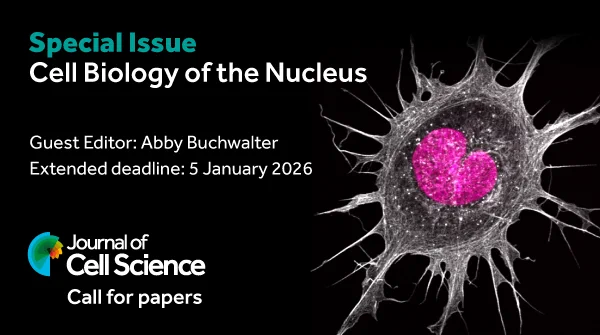 Call for papers for JCS Special Issue
Text: Special Issue
Cell Biology of the Nucleus
Guest Editor: Abby Buchwalter
Deadline: 5 January 2026
Image of a cell with a heart-shaped nucleus (Image credit: Hoang Anh Le)
Journal of Cell Science logo
Call for papers
Image credit: Hoang Anh Le
At the heart of a cancer cell – An Ewing’s sarcoma cancer cell with a curious heart-shaped nucleus. Imaged using Zeiss880 with Airyscan.