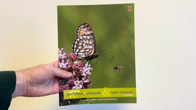 The cover of the book with showing a butterfly perched on a flower.