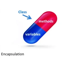 Encapsulation
