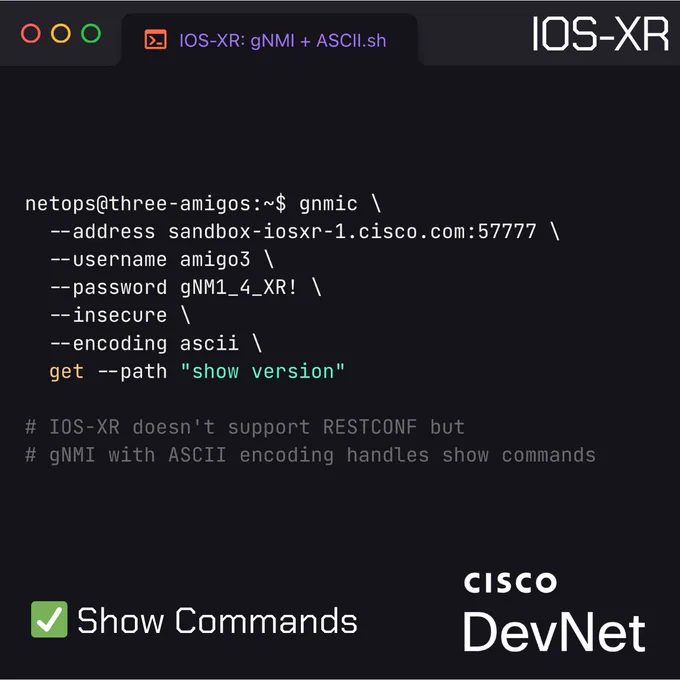 IOS-XR: gNMI   ASCII
