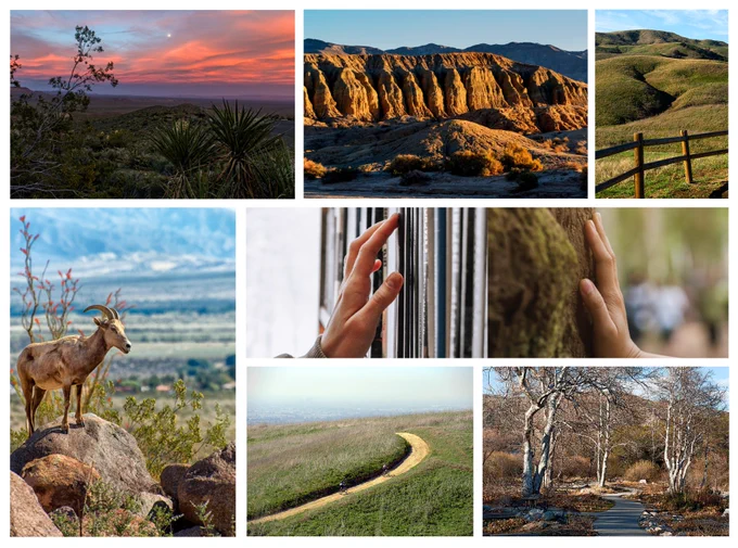 Collage of natural landscapes such as scenes of a sunset, desert cliffs, rolling green hills, and a mountain goat on rocks.