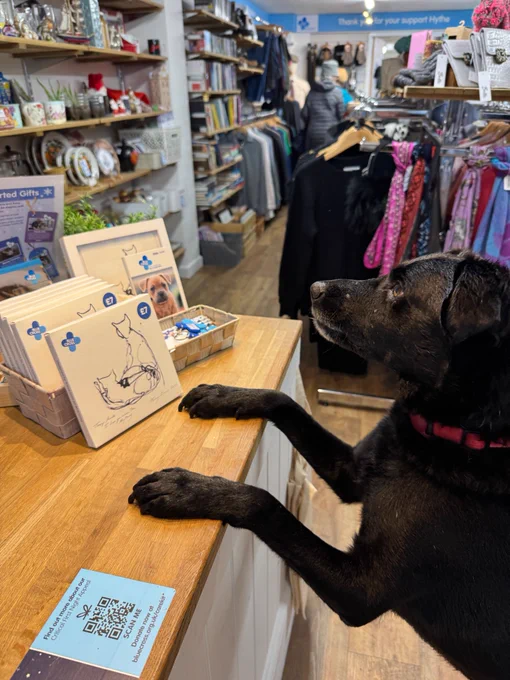 Furby standing on his hind legs at a checkout counter in a Blue Cross shop, with merchandise displayed around. Tracey Emin's Christmas cards are on the counter in front of him