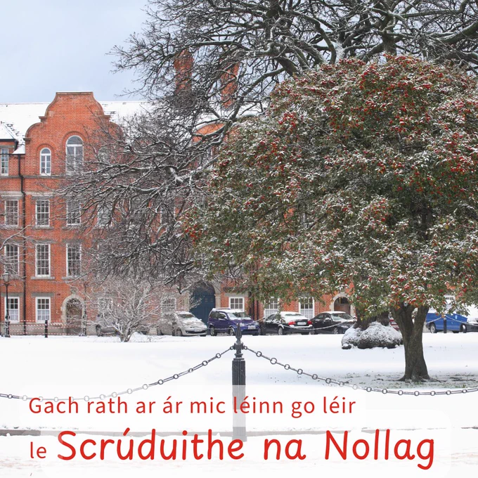 Snow-covered landscape at Trinity College Dublin with a vibrant tree full of red berries in the foreground, and text in Irish wishing luck on Christmas exams.