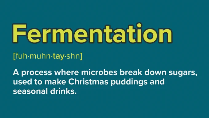 The word "Fermentation" is defined as a process where microbes break down sugars, used in making Christmas puddings and seasonal drinks.