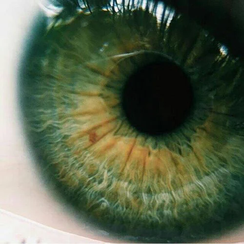 green eye pic i found on pinterest 