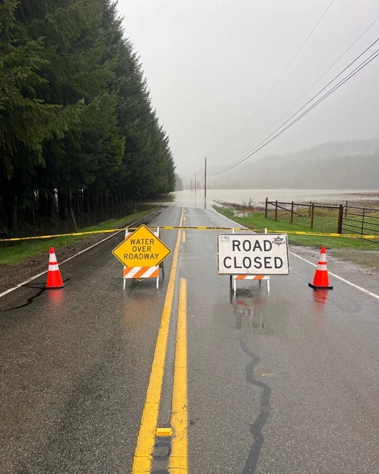 Water Over Roadway and Road Closed signs, accompanied by traffic cones and caution tape, are visible on a roadway. Trees line one side of the road and pooling water can be seen in the background.