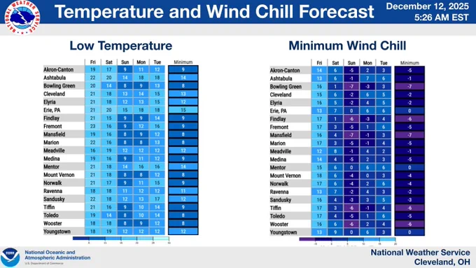 Chart showing forecast low temperatures and subzero wind chills across the area.