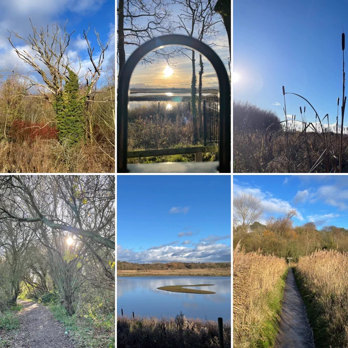 Various views of a day in the countryside