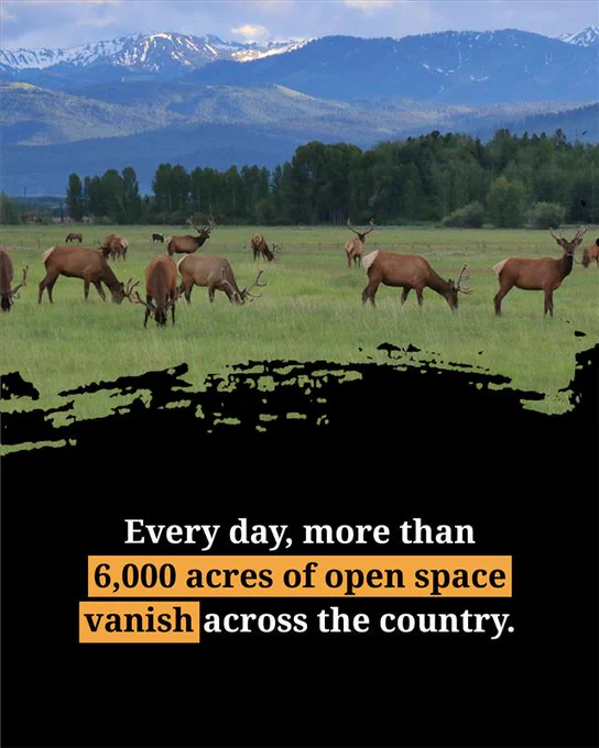 Elk herd grazing in a field with mountains in the background and a text overlay that reads: 'Every day, more than 6,000 acres of open space vanish across the country.'