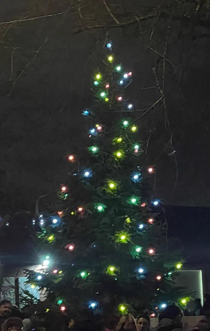 Christmas tree photo. 