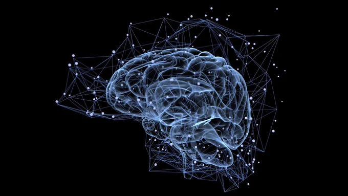 Long-term memories form through a layered series of molecular programs that gradually strengthen important experiences while allowing others to fade. This process relies on coordinated activity across the thalamus, cortex, and associated gene regulators. Credit: Shutterstock
