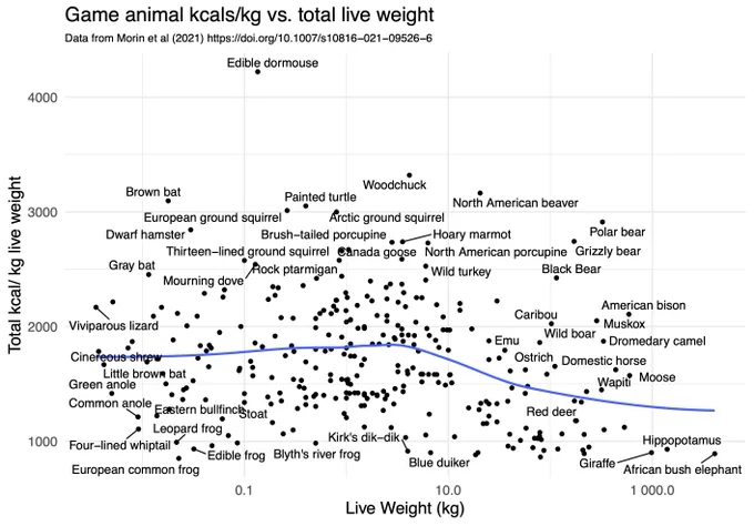 A scatterplot of game animal weights vs. the number of kcals per kg