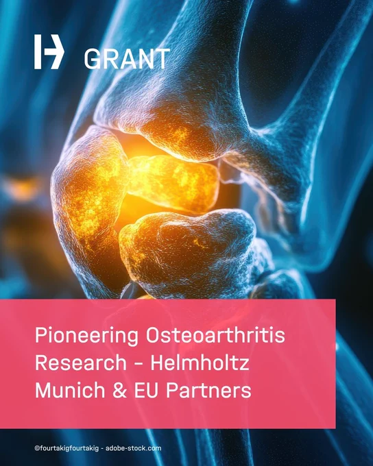 Helmholtz Munich Launches Pioneering Osteoarthritis Research Project With EU Partners