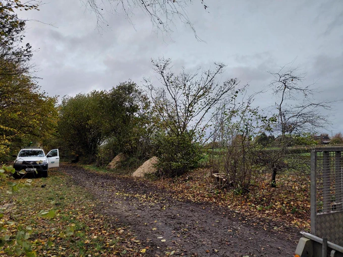 A rural scene showing a gravel area with scattered leaves, surrounded by sparse trees and bushes. A white Ranger van is parked on the left side.